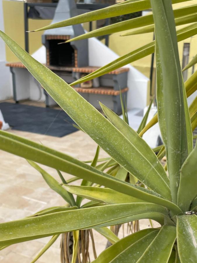 Vila Do Sol Fuzeta Ngoại thất bức ảnh